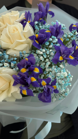 Комплимент №26